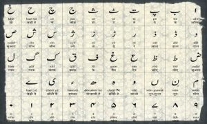رتبه های قبولی ارشد 96 - 97 - 98 زبان و ادبیات اردو