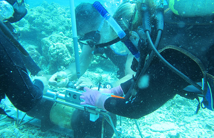 منابع کنکور کارشناسی ارشد اقیانوس شناسی فیزیکی