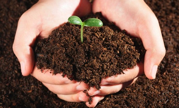 منابع کنکور کارشناسی ارشد مدیریت حاصلخیزی ، زیست فناوری و منابع خاک