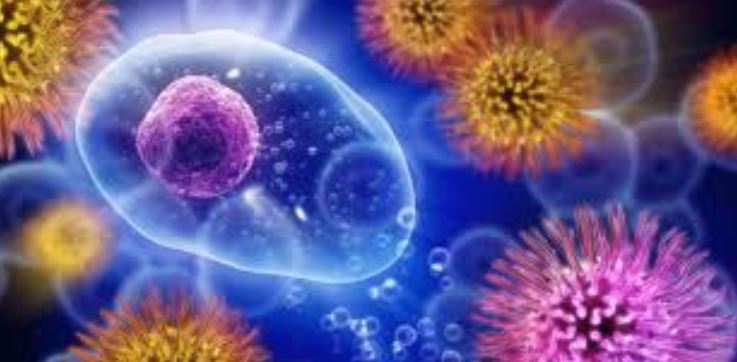 منابع کنکور کارشناسی ارشد ایمنی شناسی دامپزشکی