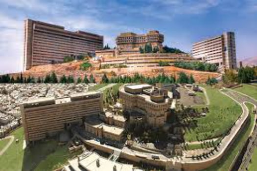 ShirazUni نتایج ارشد بدون کنکور شیراز 98 - 99